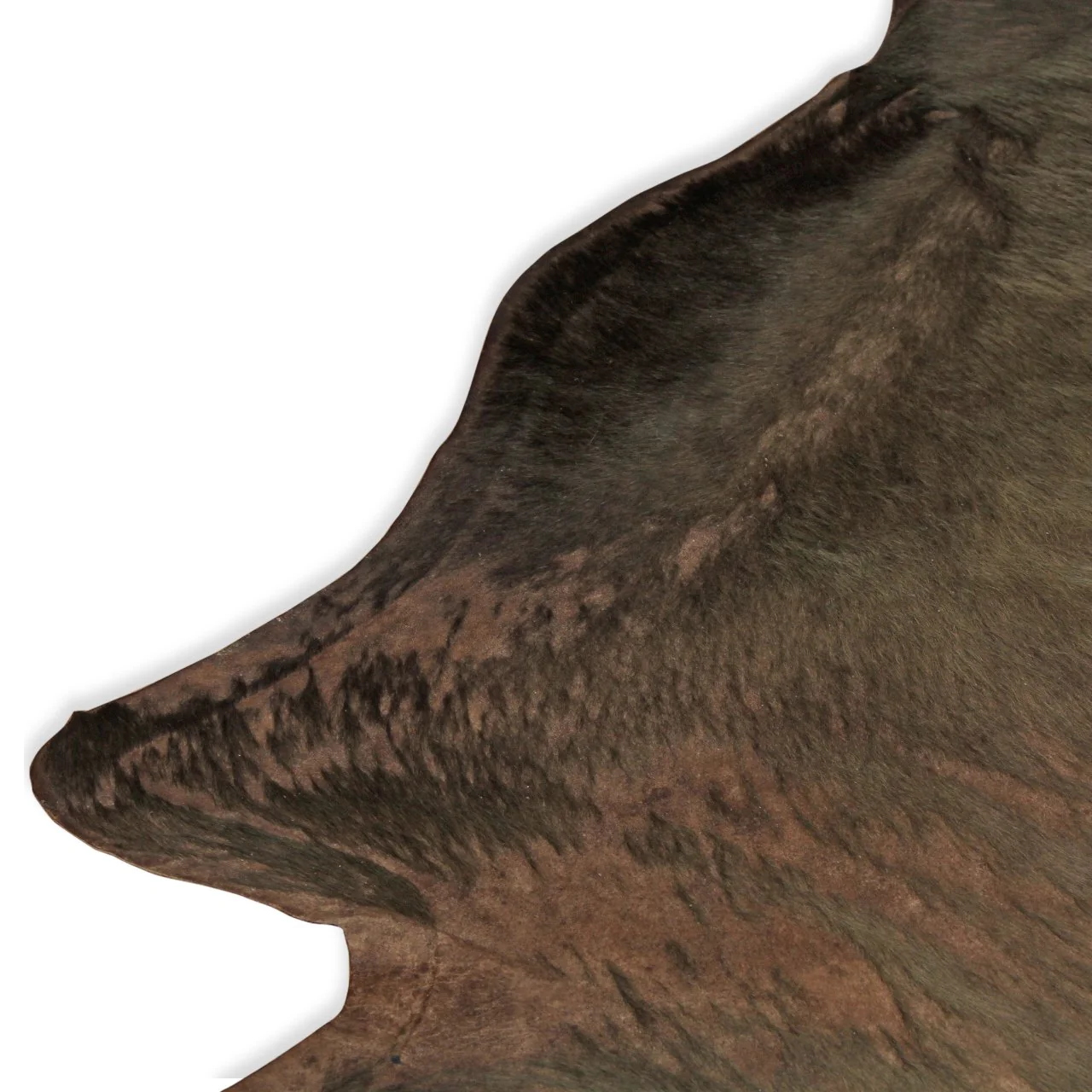 Kyle Bunting Cowhide Carpet (9 ft x 7 ft 10 in) - Image 5