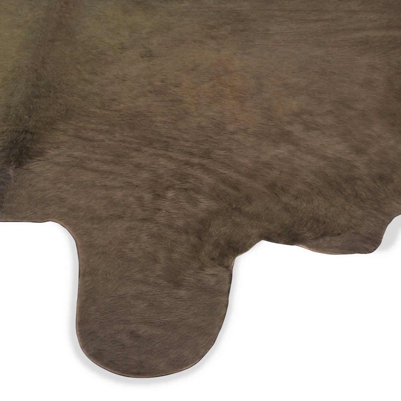 Kyle Bunting Cowhide Carpet (9 ft x 7 ft 10 in) - Image 6
