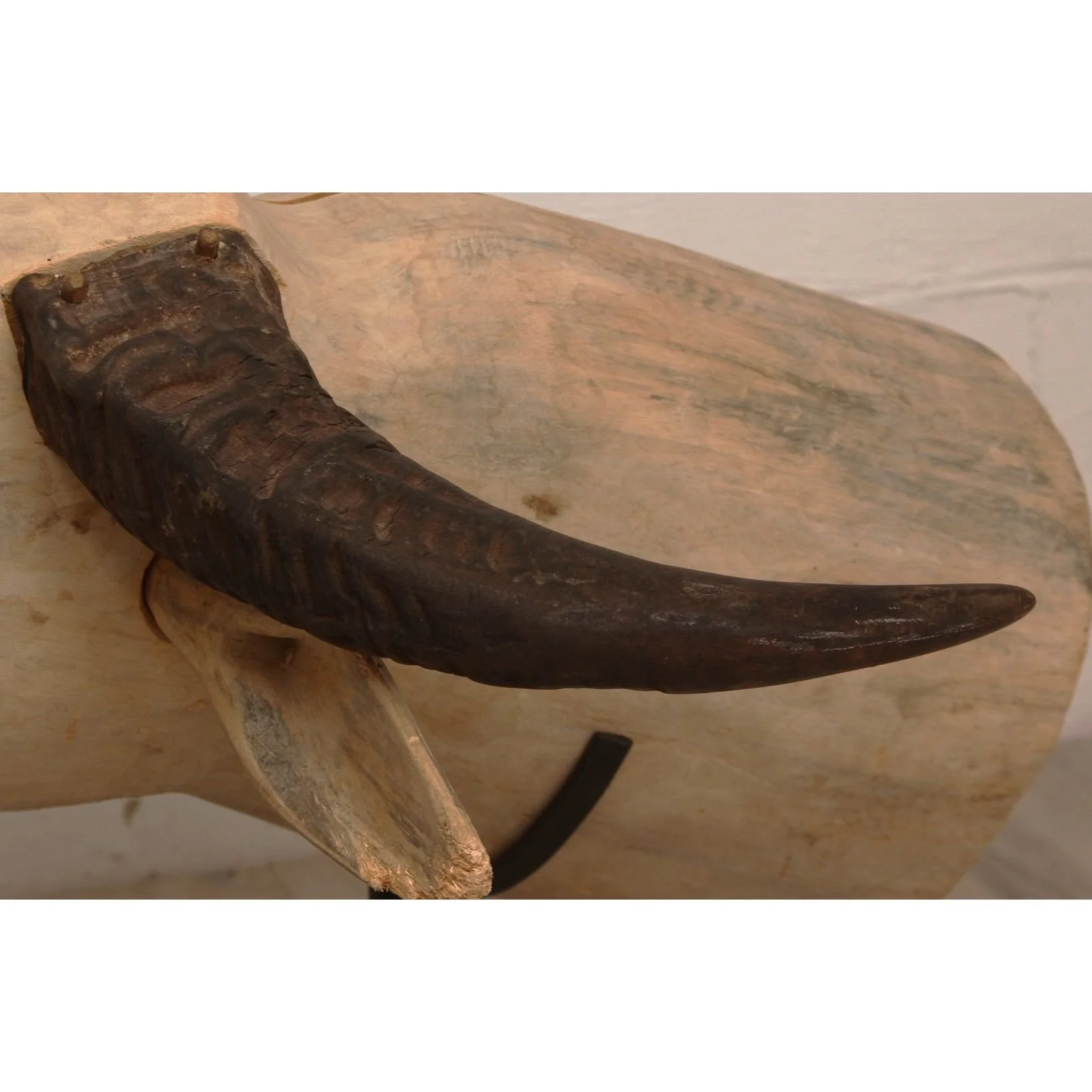 Vintage Hand Carved Water Buffalo Head Sculpture - Image 5